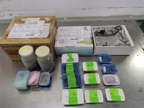 海關(guān)嚴(yán)查進(jìn)境郵政快件，搖身一變的日用品驚現(xiàn)活體甲蟲(chóng)