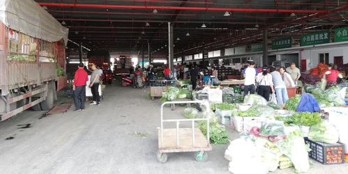 當(dāng)好廣元人民的菜籃子，川陜甘農(nóng)產(chǎn)品交易中心 從集散樞紐到研發(fā)引擎的蝶變