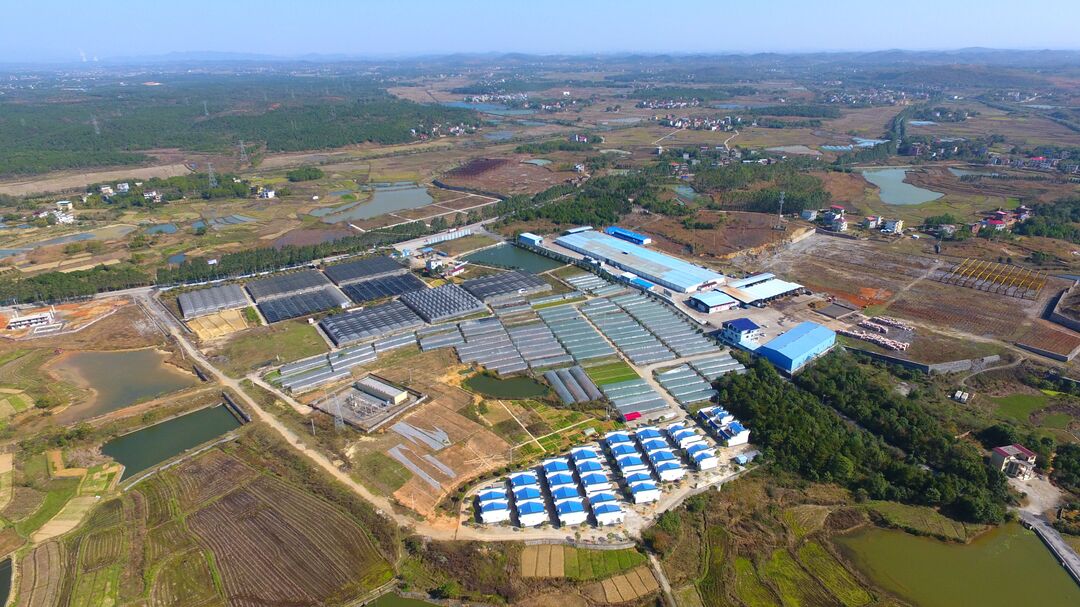 東安 立足特色資源，以科技研發(fā)驅(qū)動(dòng)現(xiàn)代農(nóng)業(yè)與食用農(nóng)產(chǎn)品產(chǎn)業(yè)高質(zhì)量發(fā)展